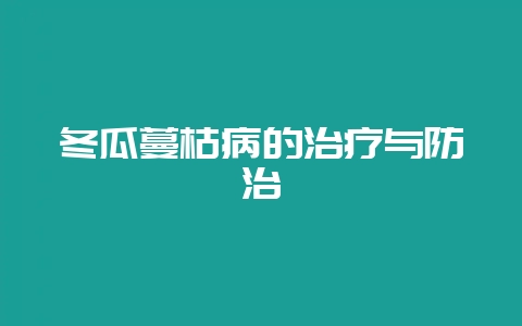 冬瓜蔓枯病的治疗与防治-会东网