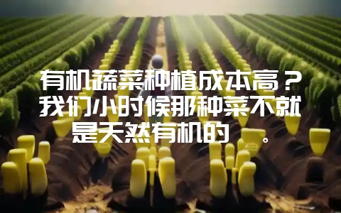有机蔬菜种植成本高?我们小时候那种菜不就是天然有机的嘛。-会东网