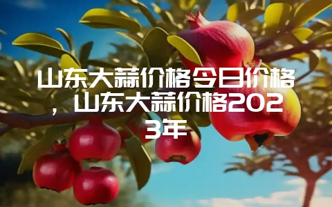 山东大蒜价格今日价格，山东大蒜价格2023年-会东网
