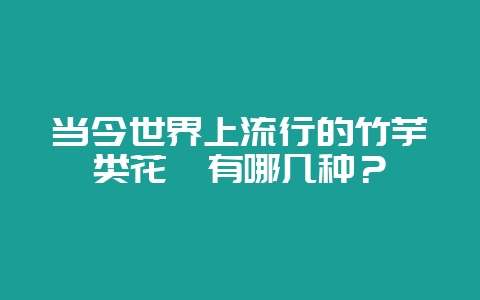 当今世界上流行的竹芋类花卉有哪几种?-会东网