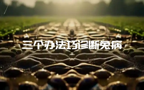 三个办法巧诊断兔病-会东网