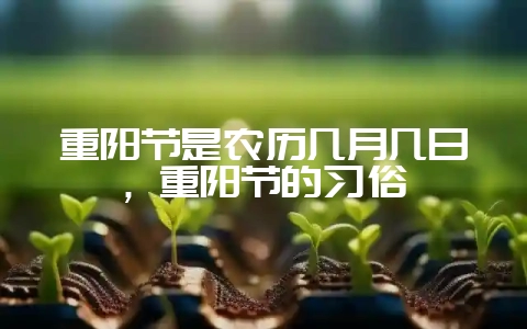 重阳节是农历几月几日，重阳节的习俗-会东网