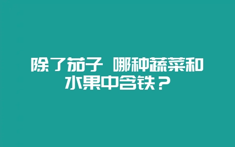 除了茄子 哪种蔬菜和水果中含铁?-会东网