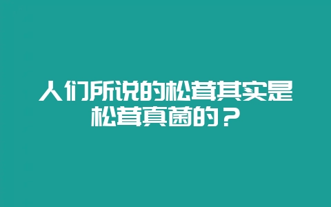 人们所说的松茸其实是松茸真菌的?插图 人们所说的松茸其实是松茸真菌的?插图