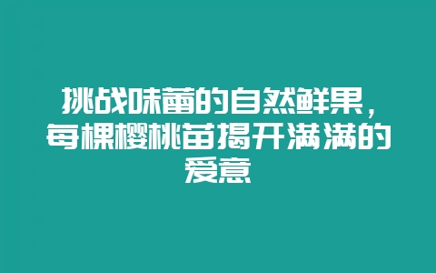 挑战味蕾的自然鲜果，每棵樱桃苗揭开满满的爱意-会东网