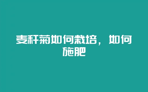 麦秆菊如何栽培,如何施肥-会东网
