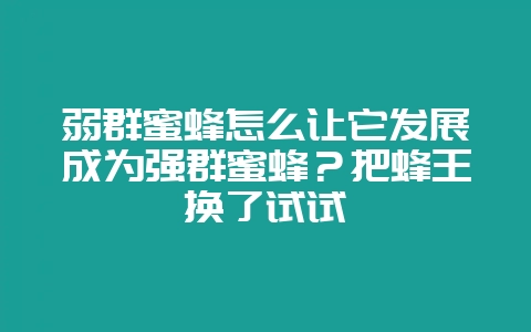 弱群蜜蜂怎么让它发展成为强群蜜蜂？把蜂王换了试试-会东网