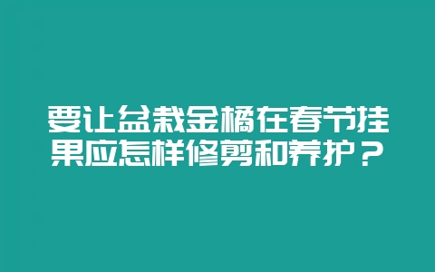 要让盆栽金橘在春节挂果应怎样修剪和养护？-会东网