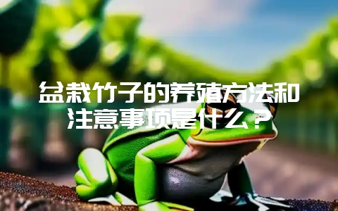 盆栽竹子的养殖方法和注意事项是什么？-会东网