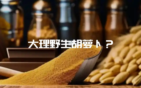 大理野生胡萝卜？-会东网