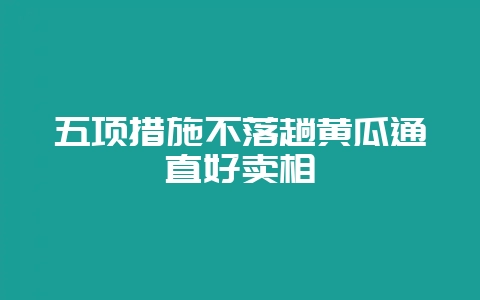 五项措施不落趟黄瓜通直好卖相-会东网