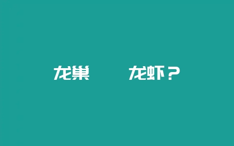 龙巢盱眙龙虾？-会东网