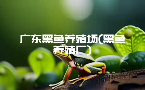 广东黑鱼养殖场(黑鱼养殖厂)-会东网