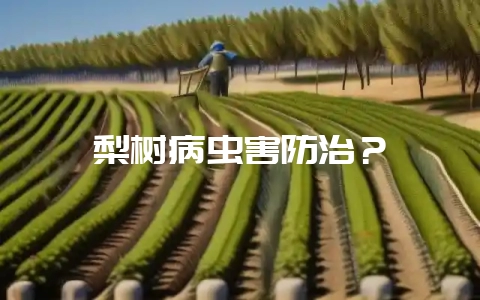 梨树病虫害防治？-会东网
