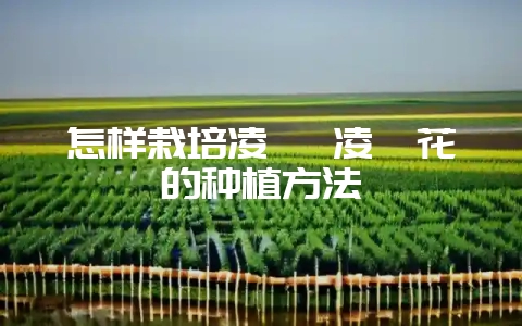 怎样栽培凌霄 凌霄花的种植方法-会东网