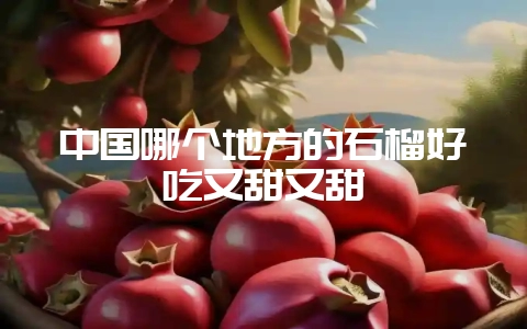 中国哪个地方的石榴好吃又甜又甜插图 中国哪个地方的石榴好吃又甜又甜插图