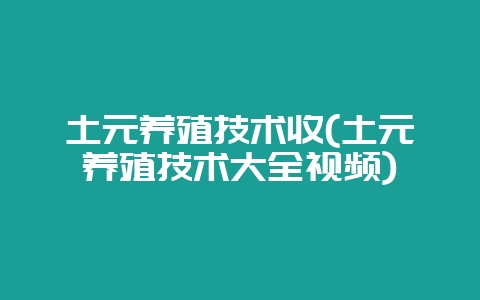 土元养殖技术收(土元养殖技术大全视频)-会东网