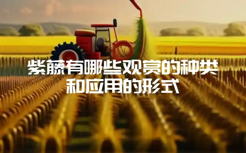 紫藤有哪些观赏的种类和应用的形式-会东网