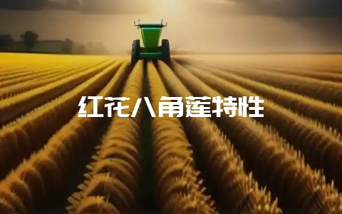红花八角莲特性-会东网