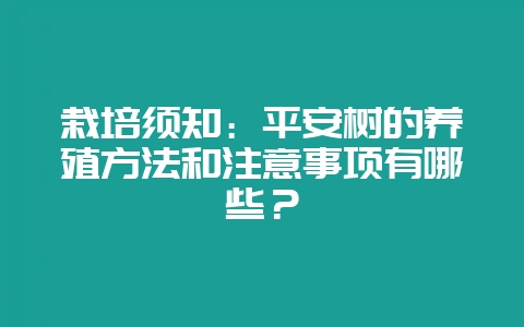 栽培须知:平安树的养殖方法和注意事项有哪些?-会东网