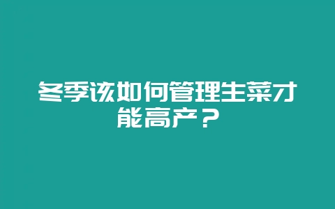 冬季该如何管理生菜才能高产?-会东网