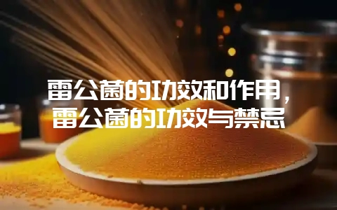 雷公菌的功效和作用,雷公菌的功效与禁忌-会东网