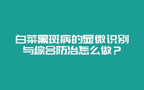 白菜黑斑病的显微识别与综合防治怎么做?-会东网