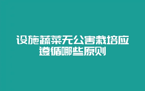 设施蔬菜无公害栽培应遵循哪些原则-会东网