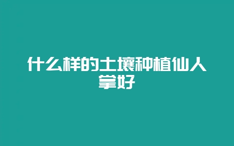 什么样的土壤种植仙人掌好-会东网