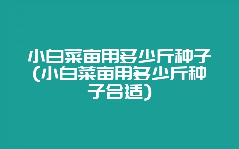 小白菜亩用多少斤种子(小白菜亩用多少斤种子合适)-会东网
