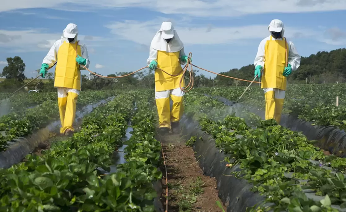 常用的生物农药有哪些?有哪些特点?-会东网