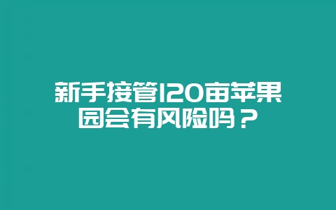 新手接管120亩苹果园会有风险吗？-会东网