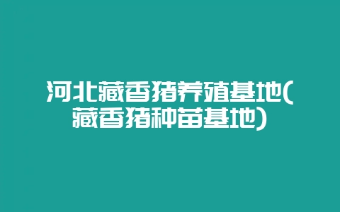 河北藏香猪养殖基地(藏香猪种苗基地)-会东网