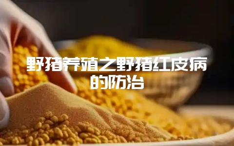 野猪养殖之野猪红皮病的防治-会东网