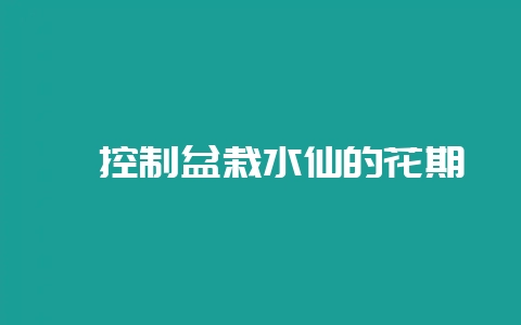 咋控制盆栽水仙的花期-会东网