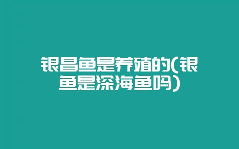 银昌鱼是养殖的(银鲳鱼是深海鱼吗)-会东网
