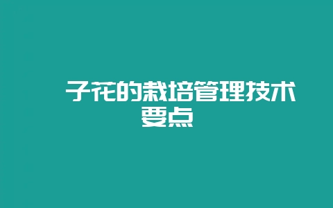 栀子花的栽培管理技术要点-会东网