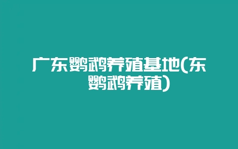 广东鹦鹉养殖基地(东莞鹦鹉养殖)-会东网