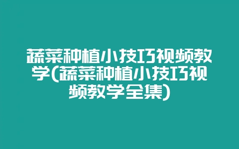 蔬菜种植小技巧视频教学(蔬菜种植小技巧视频教学全集)-会东网