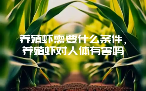 养殖虾需要什么条件，养殖虾对人体有害吗-会东网