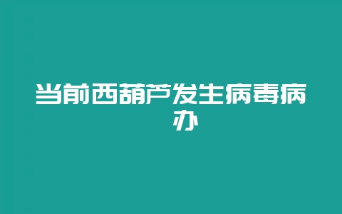 当前西葫芦发生病毒病咋办-会东网