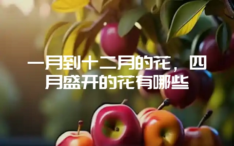 一月到十二月的花,四月盛开的花有哪些-会东网