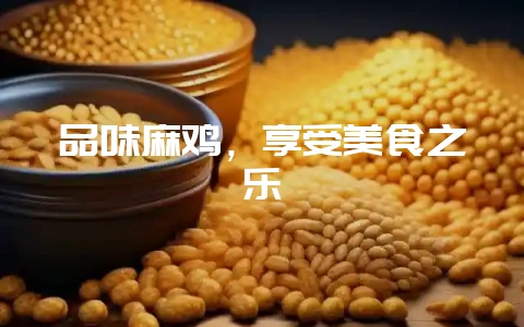 品味麻鸡，享受美食之乐-会东网