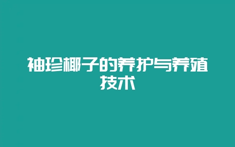 袖珍椰子的养护与养殖技术-会东网