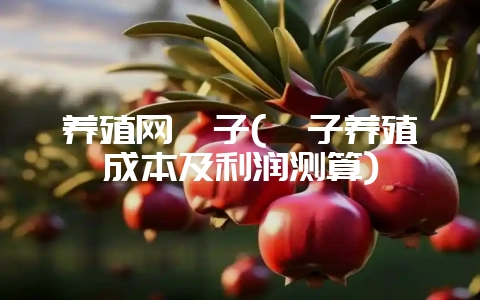 养殖网貉子(貉子养殖成本及利润测算)-会东网