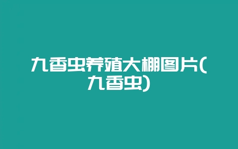 九香虫养殖大棚图片(九香虫)-会东网