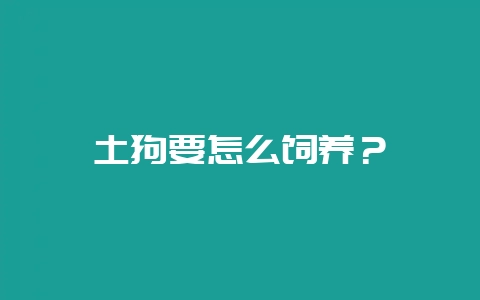 土狗要怎么饲养？-会东网