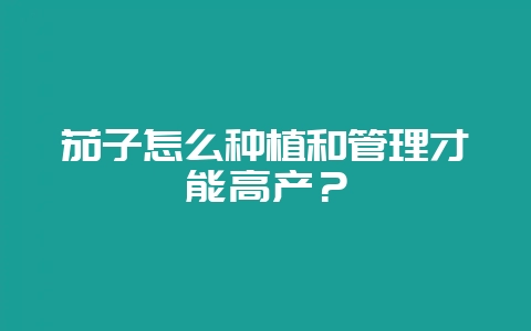 茄子怎么种植和管理才能高产？-会东网
