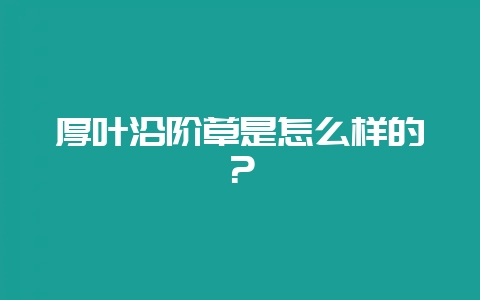 厚叶沿阶草是怎么样的？-会东网