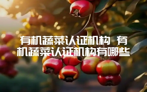 有机蔬菜认证机构 有机蔬菜认证机构有哪些-会东网